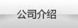 公司簡介